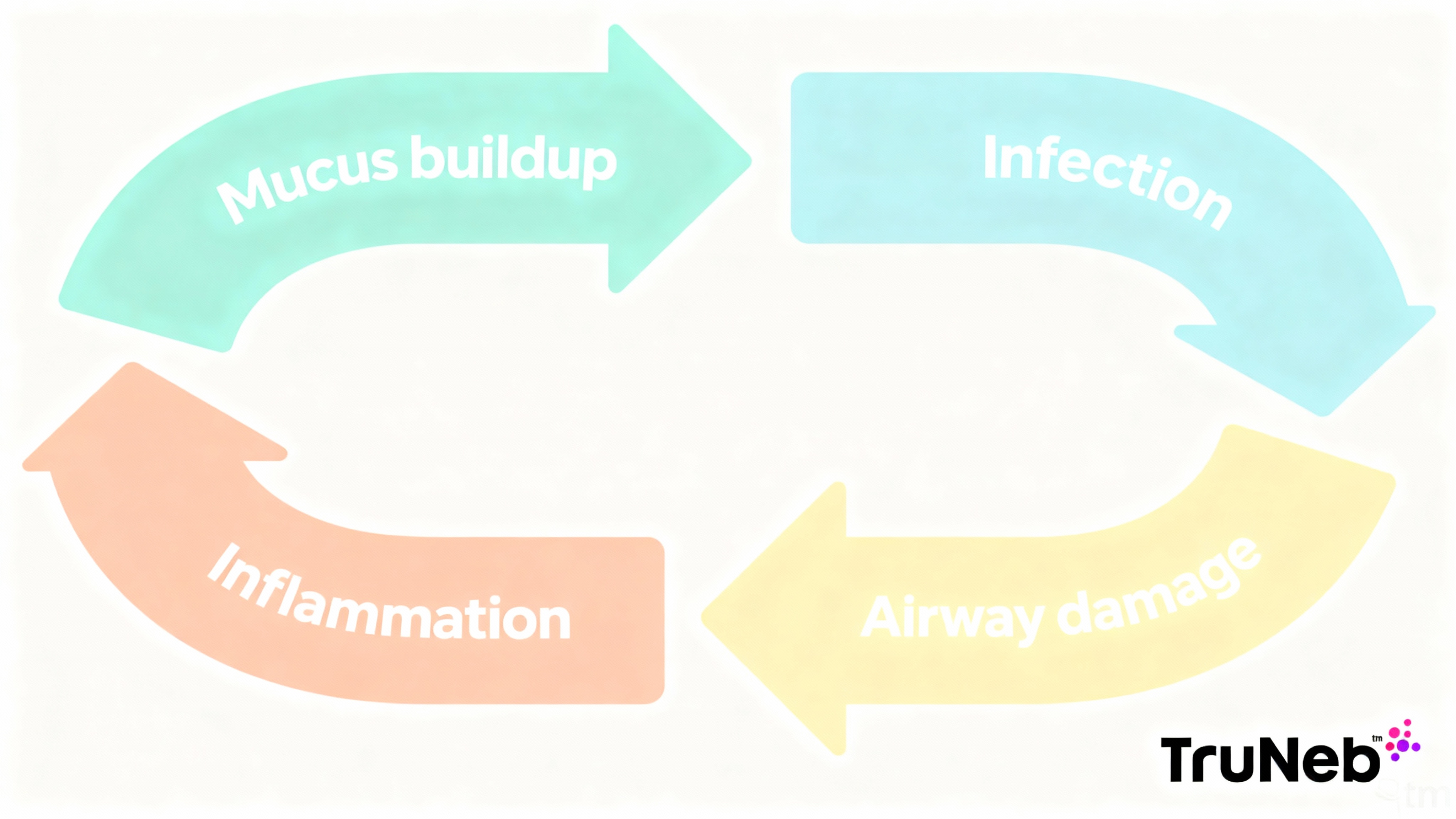 Vicious cycle of bronchiectasis infographic Simple flat infographic of the vicious cycle of bronchiectasis showing looped arrows labeled Mucus buildup, Infection, Inflammation, Airway damage